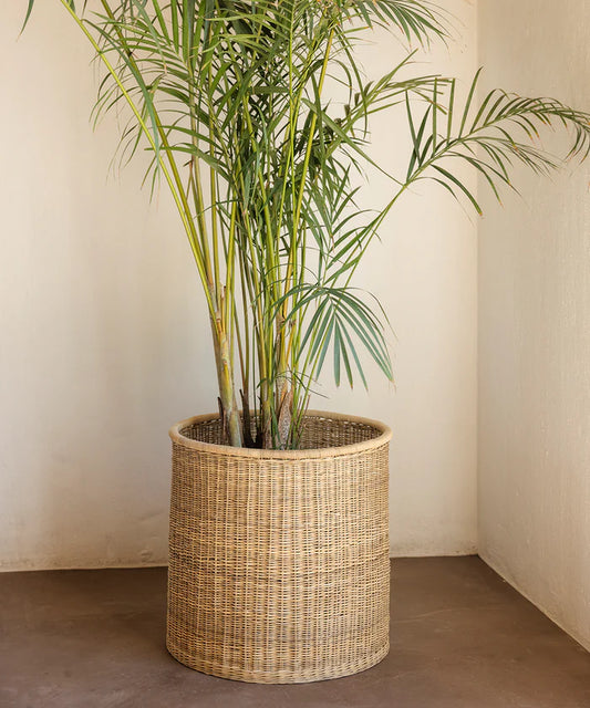 Round Closed Weave Cane Planter